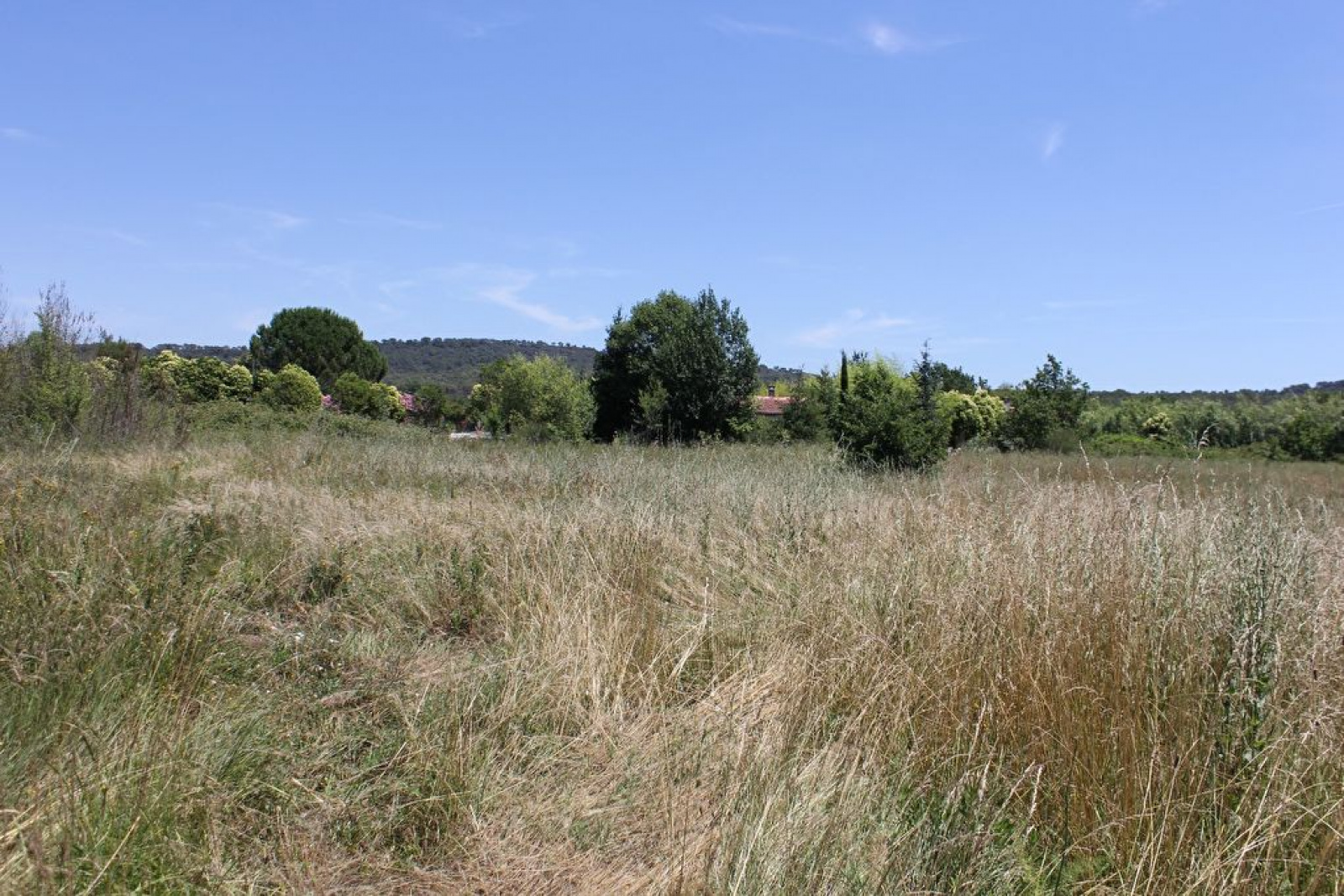 Image_, Terrain agricole, Solliès-Pont, ref :C942