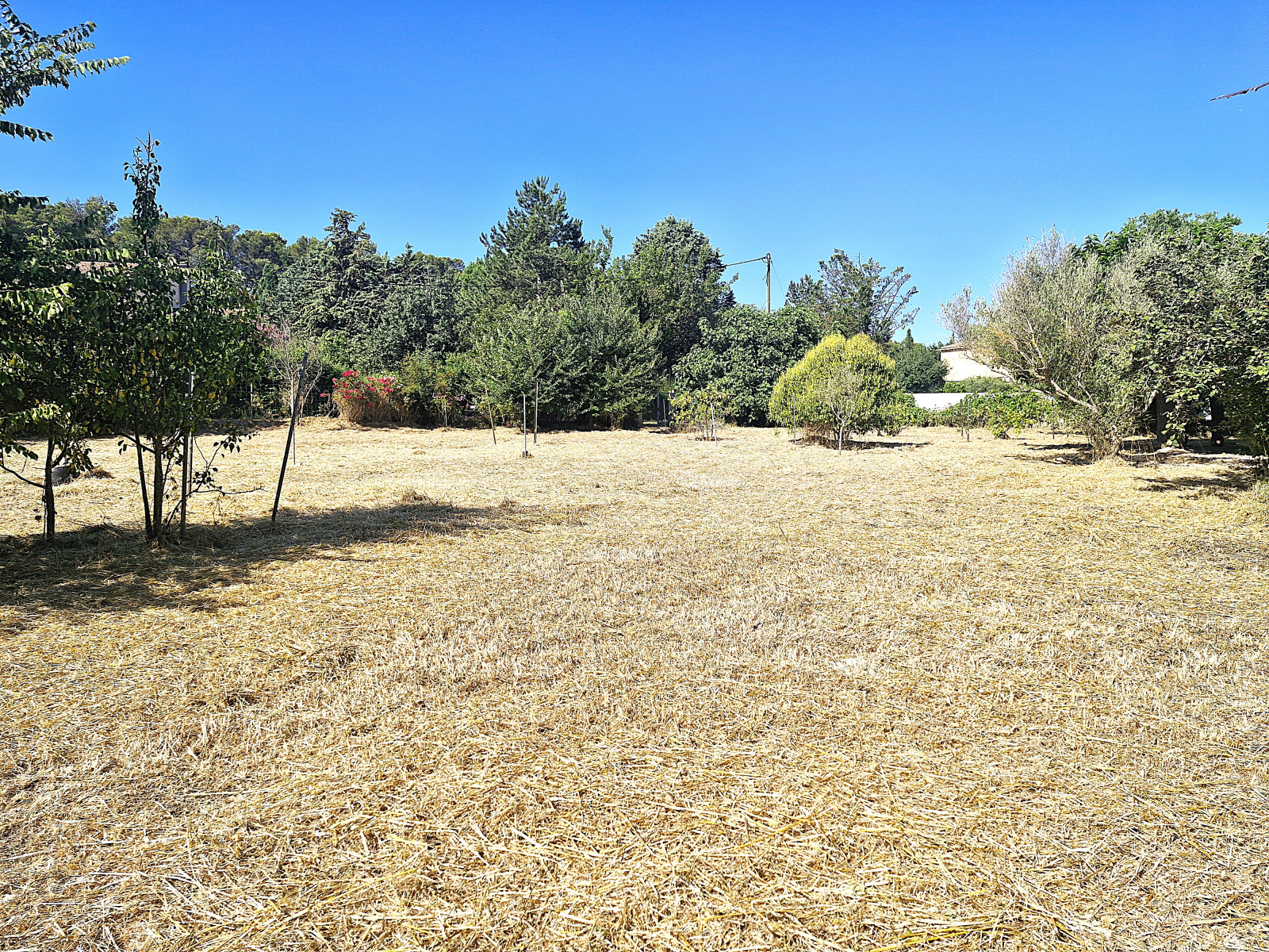 Image_, Terrain, Pignans, ref :TB1008