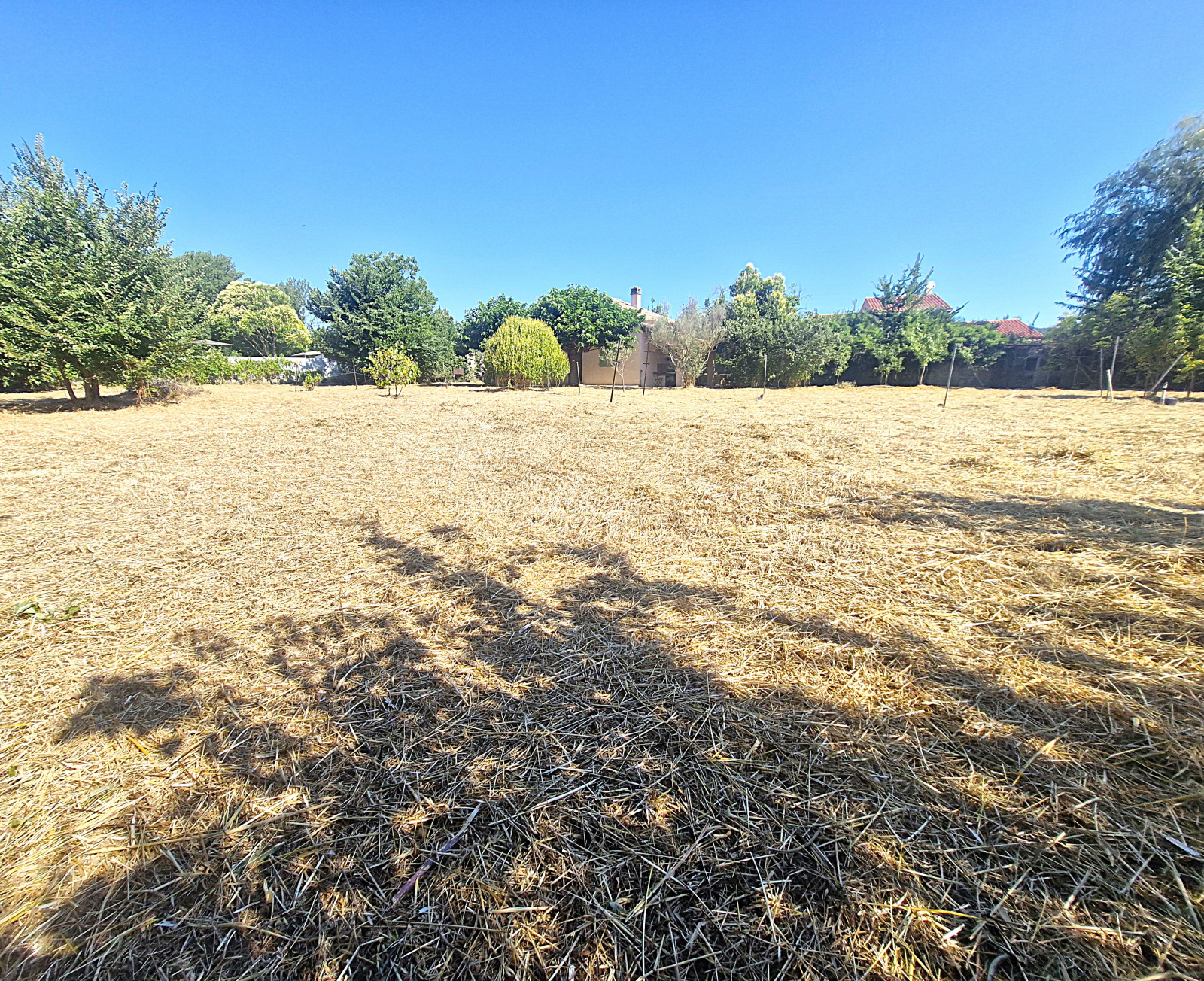 Image_, Terrain, Pignans, ref :TB1008