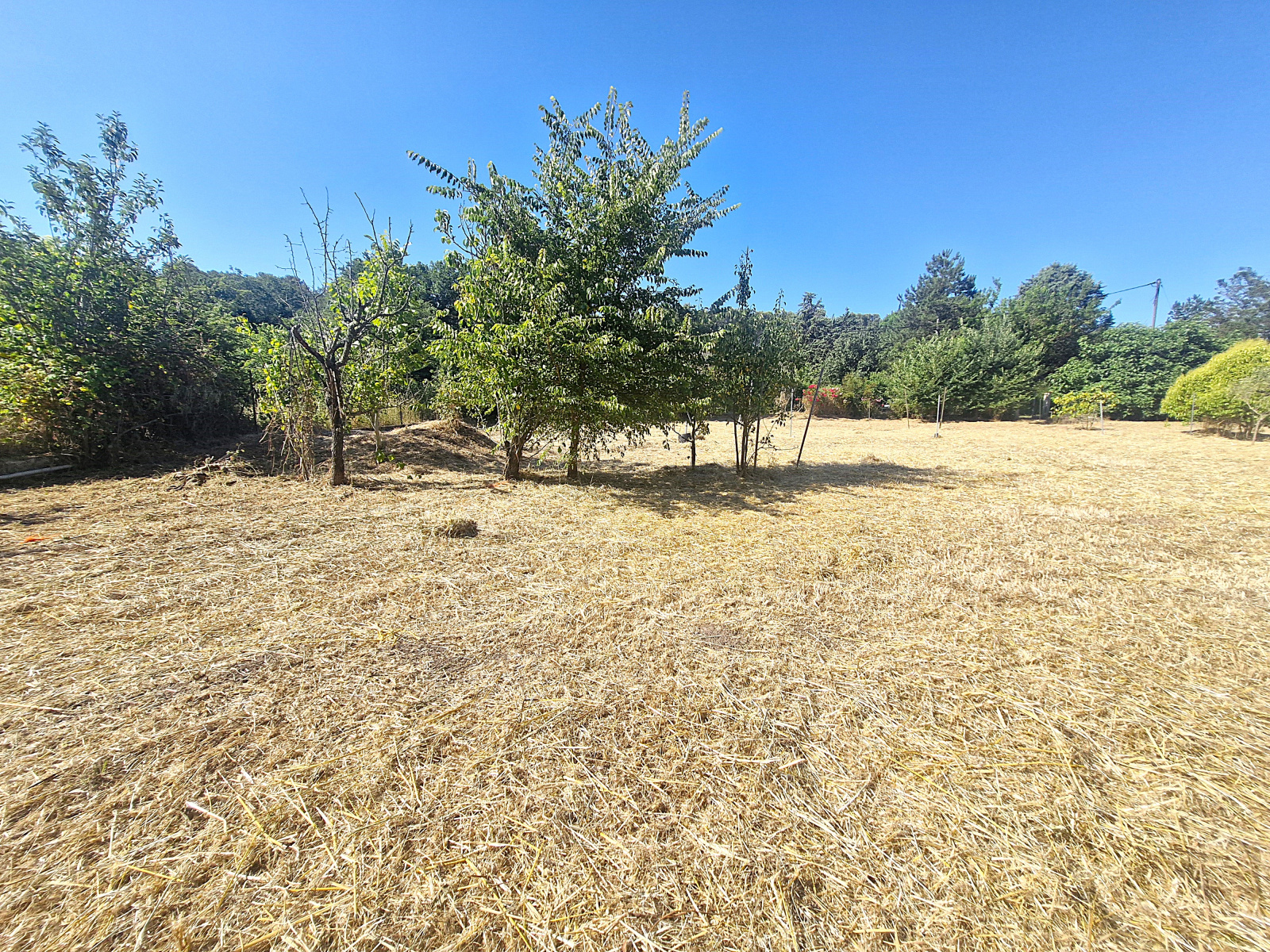 Image_, Terrain, Pignans, ref :TB1008