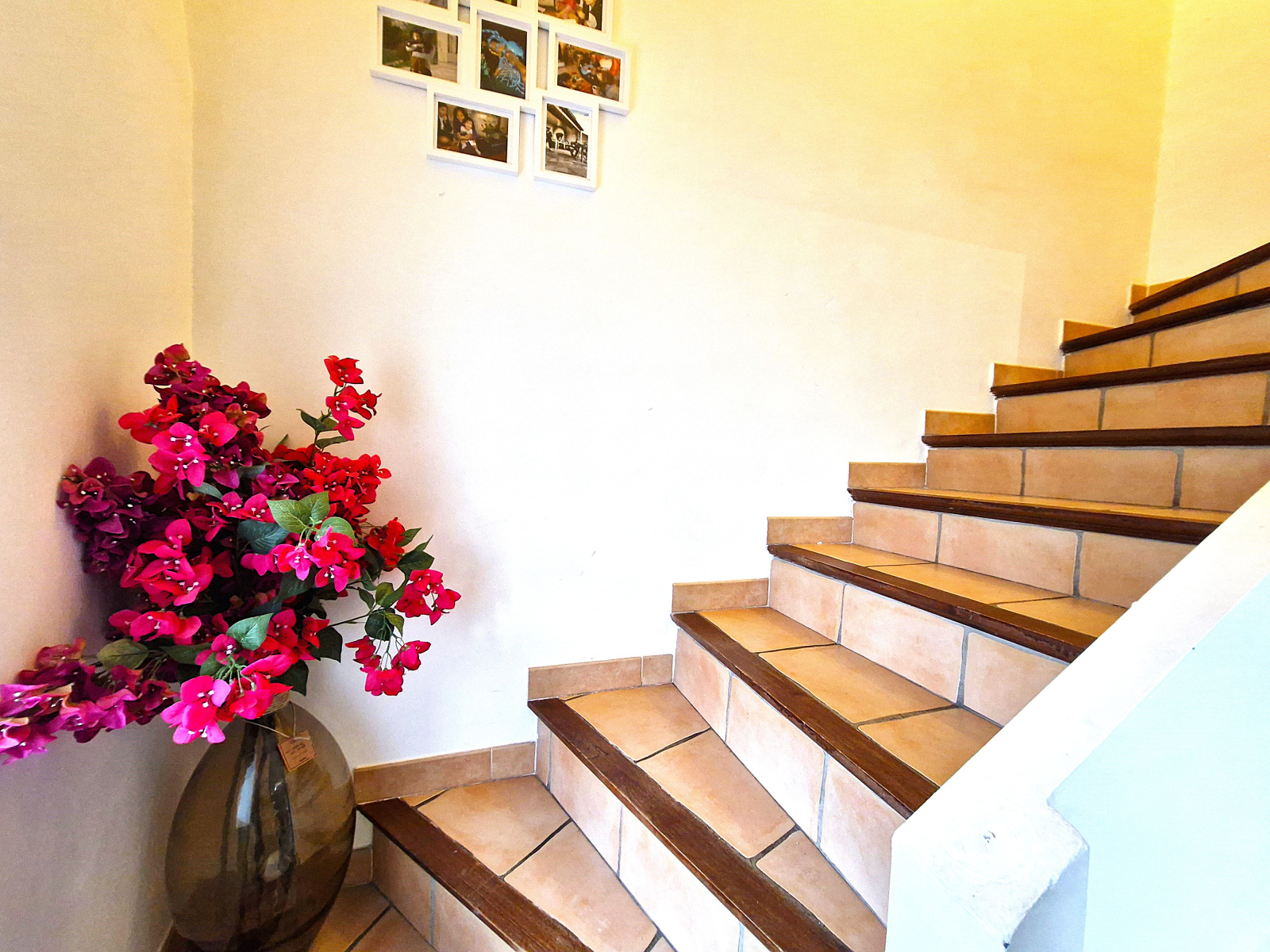 Image_, Appartement, Solliès-Pont, ref :TBA992