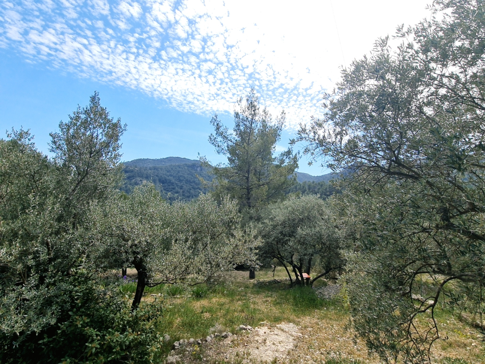 Image_, Maison, Belgentier, ref :GS0910