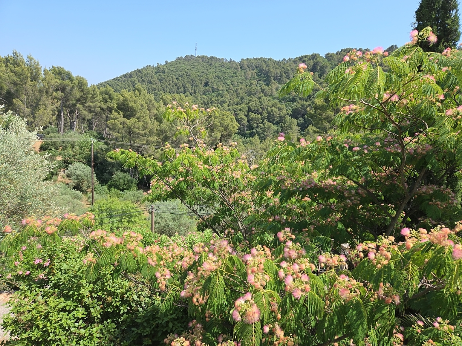 Image_, Maison, Solliès-Ville, ref :SPMP1022