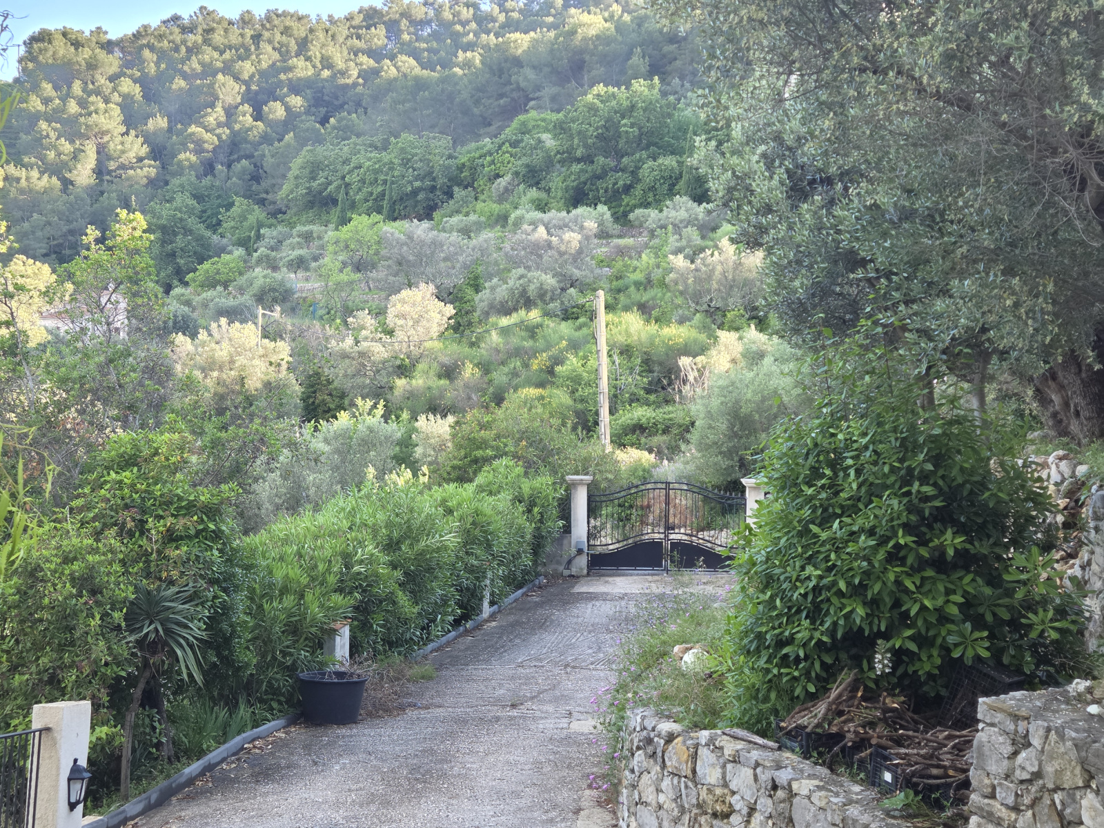 Image_, Maison, Solliès-Ville, ref :SPMP1022