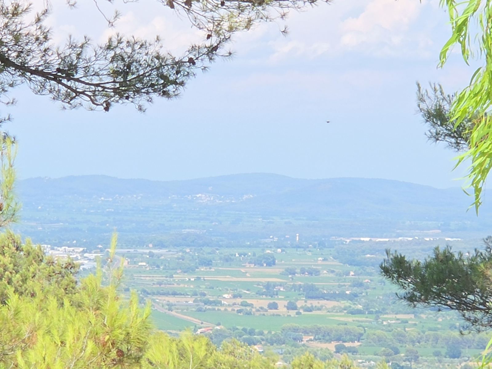 Image_, Villa, Solliès-Ville, ref :GS01015