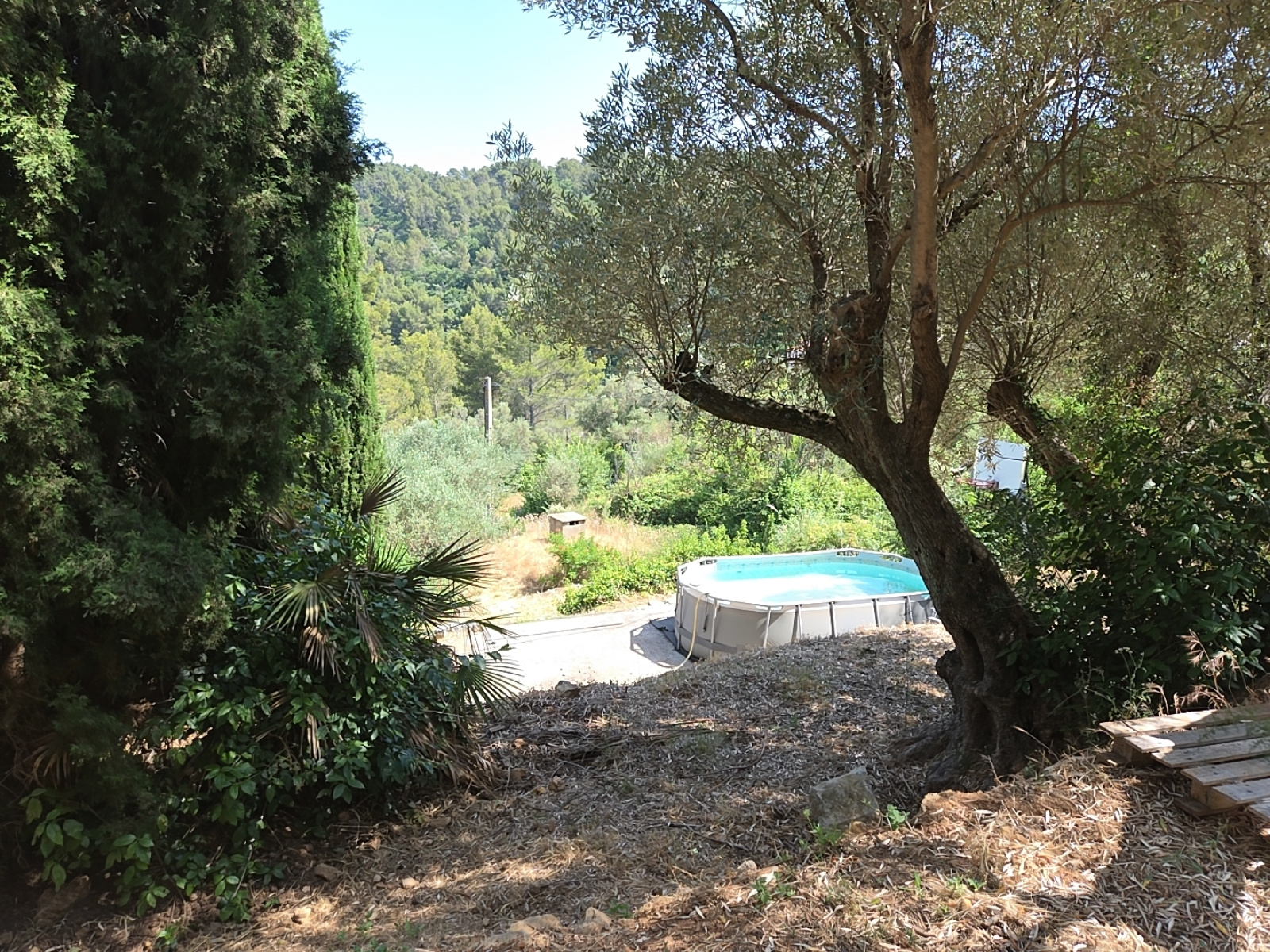 Image_, Villa, Solliès-Ville, ref :GS1015