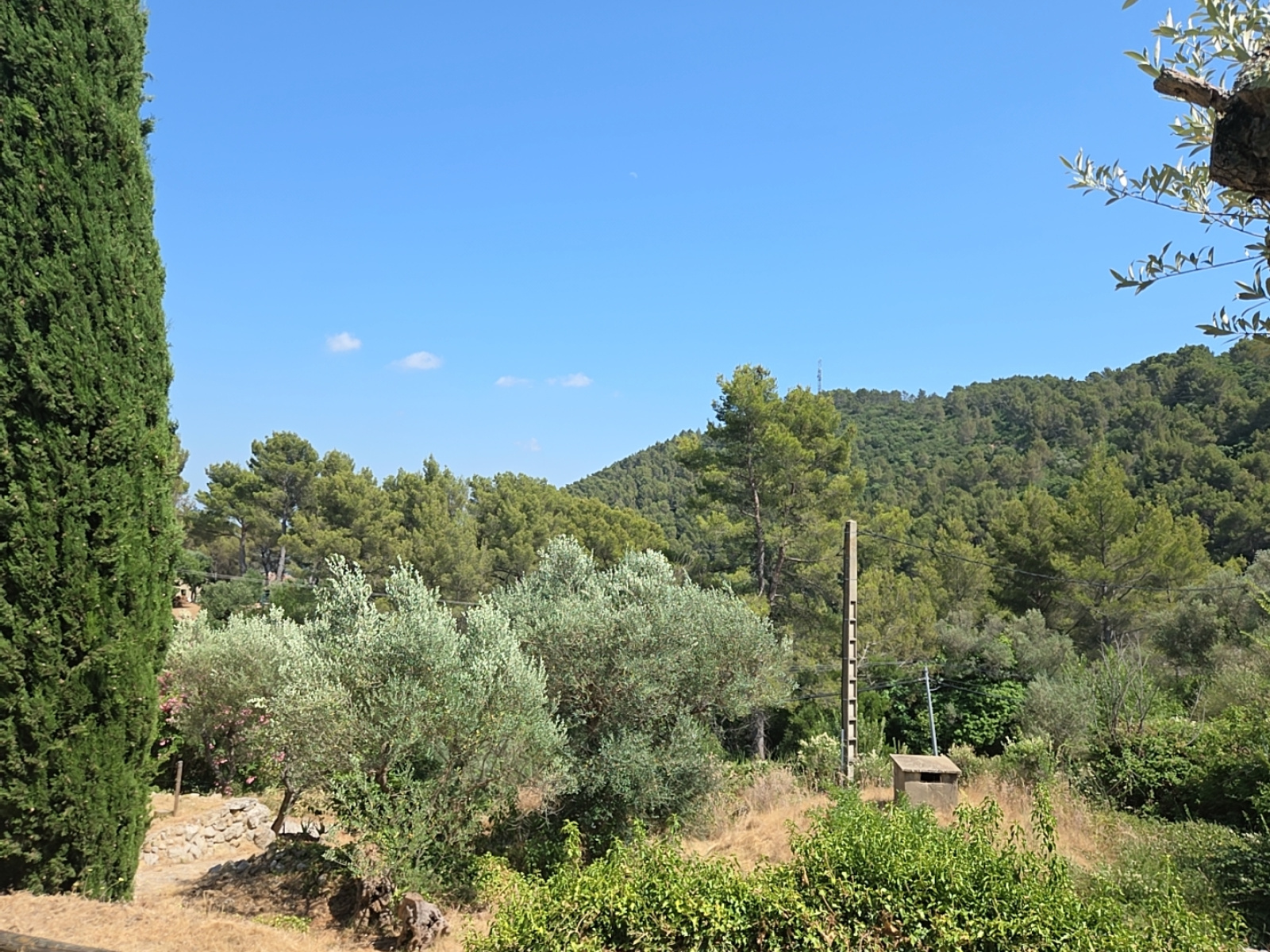 Image_, Villa, Solliès-Ville, ref :GS01015