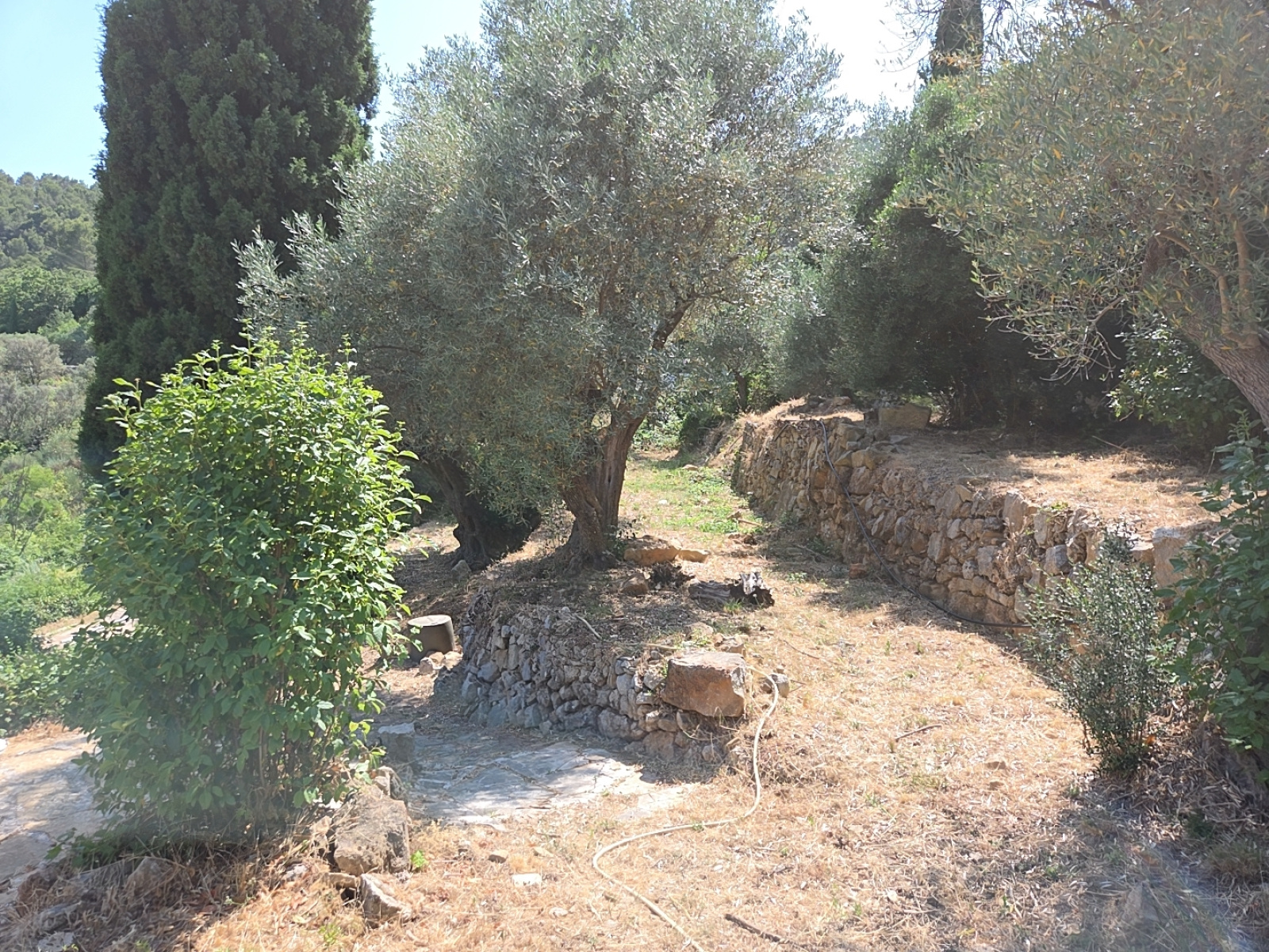 Image_, Villa, Solliès-Ville, ref :GS1015