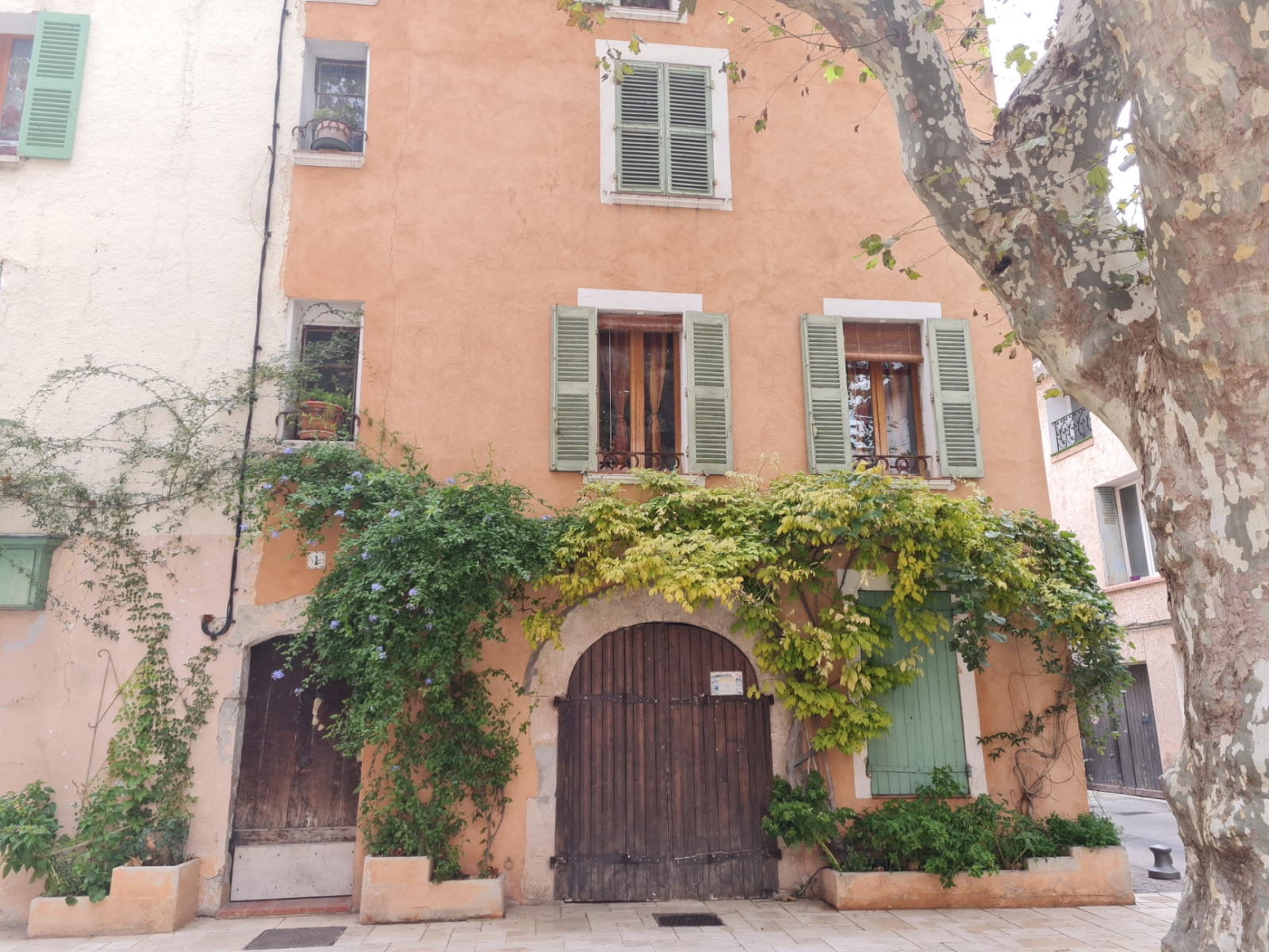 Image_, Appartement, Solliès-Pont, ref :GS1017