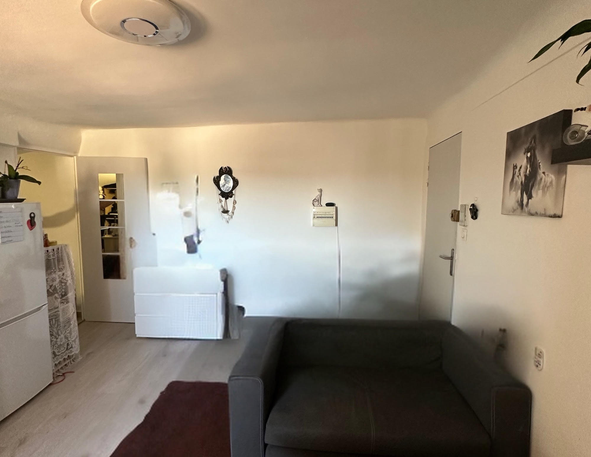 Photo bien immobilier