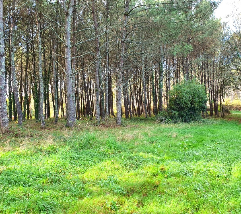 Photo bien immobilier